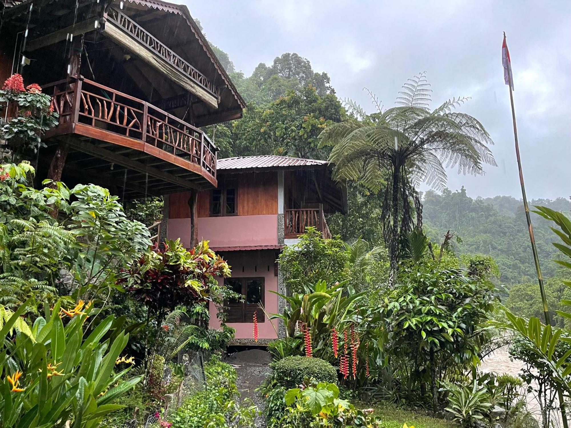 Kupu Kupu Garden Guest House & Cafe Букит Лаванг Екстериор снимка